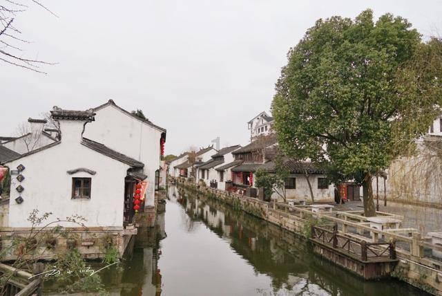 寻找沙漠珍宝